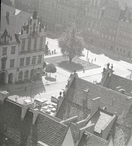 Widok z wieży Kościoła pw. Św. Elżbiety