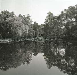 Park Szczytnicki