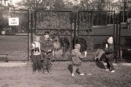 Dzieci w ZOO
