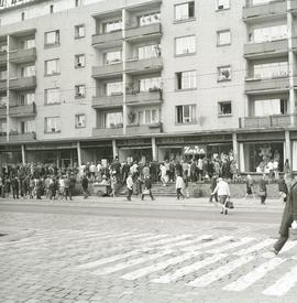 Pokaz mody dziecięcej