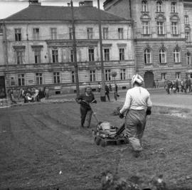 Strzyżenie trawnika u zbiegu ulic Piłsudskiego i Komandorskiej we Wrocławiu